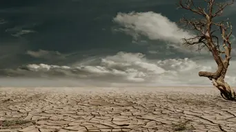 Top Europe rights court to issue landmark climate verdicts Top Europe rights court to issue landmark climate verdicts