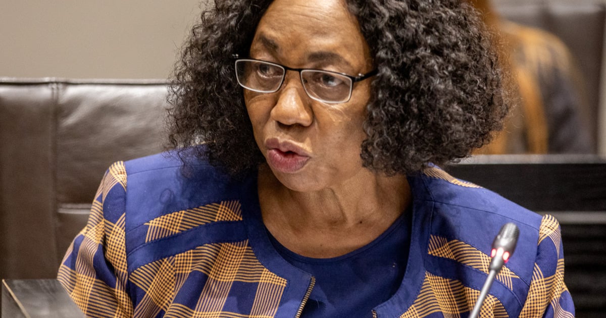 Motshekga a no-show in Parly to brief defence committee on DRC troops ...