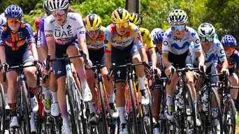 New Zealand's Wollaston wins again to lead Tour Down Under New Zealand's Wollaston wins again to lead Tour Down Under