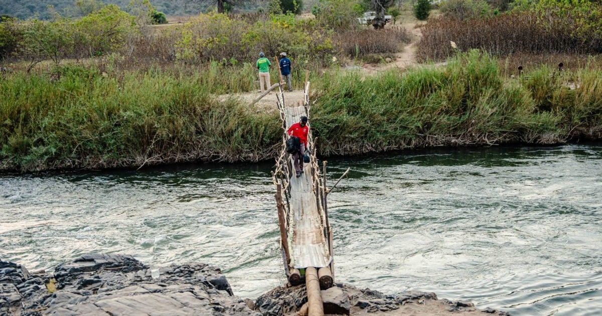 Residents living near flooded Limpopo river construct another dangerous makeshift bridge - EWN