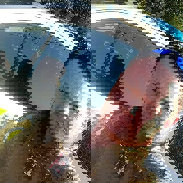 Attack on justice': Witness Marius van der Merwe killed after commission testimony