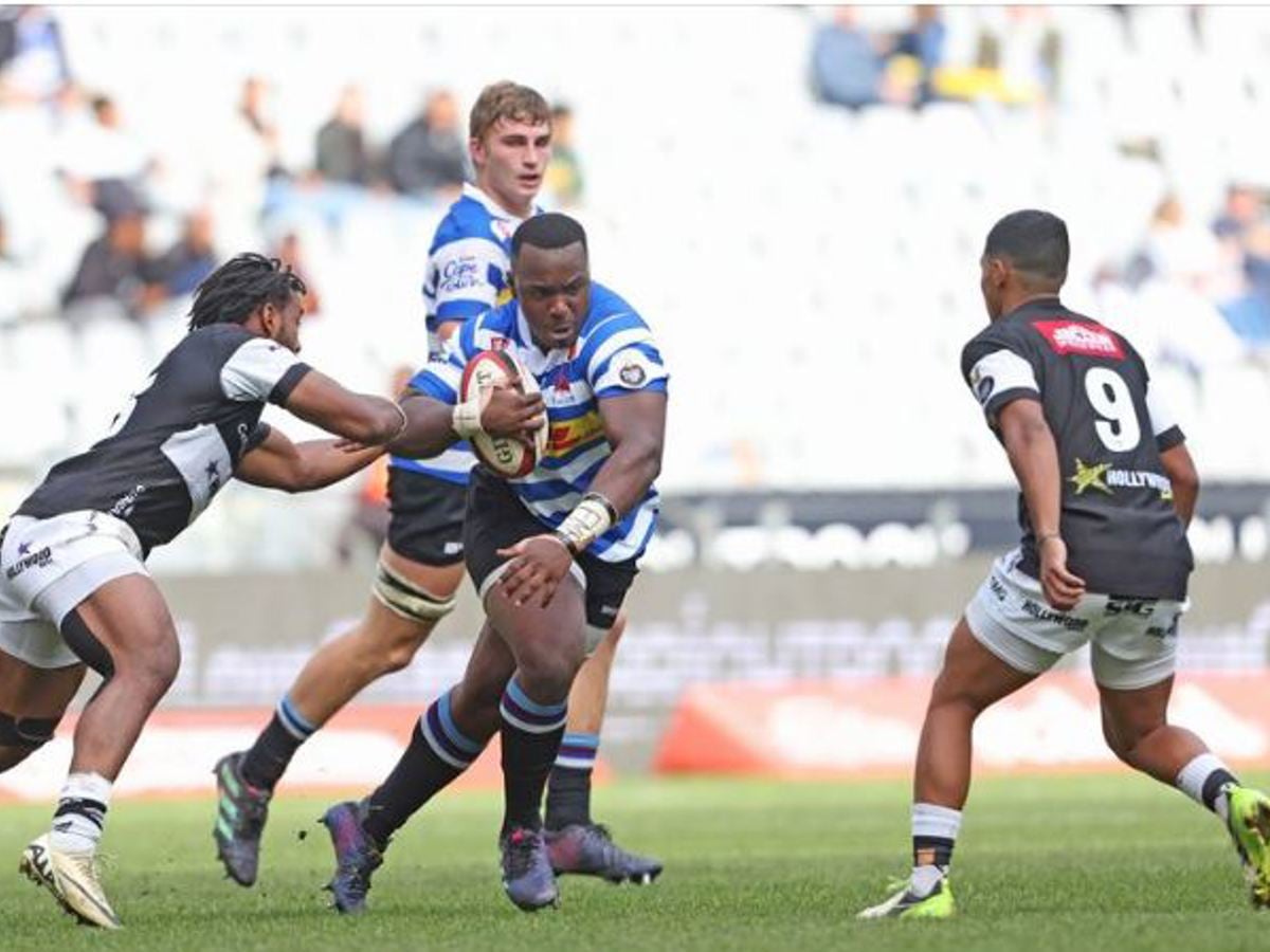 Western Rugby Club Western Province Rugby Team Logo Second Half Surge Seals Cape Clash