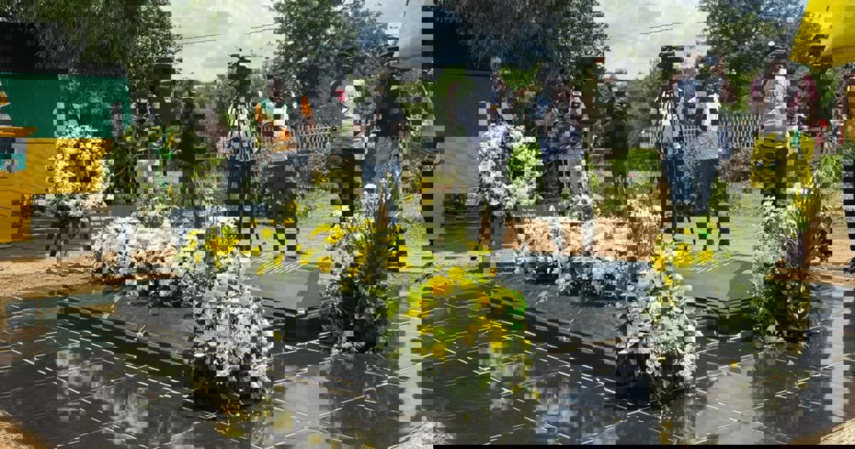 Ramaphosa leads wreath-laying ceremony for Moses Kotane on ANC's 114th ...