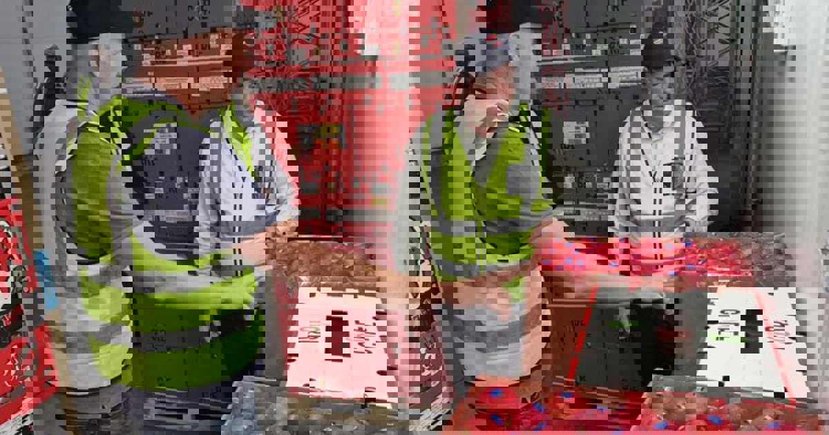 SA's agricultural sector shows resilience amid global trade headwinds