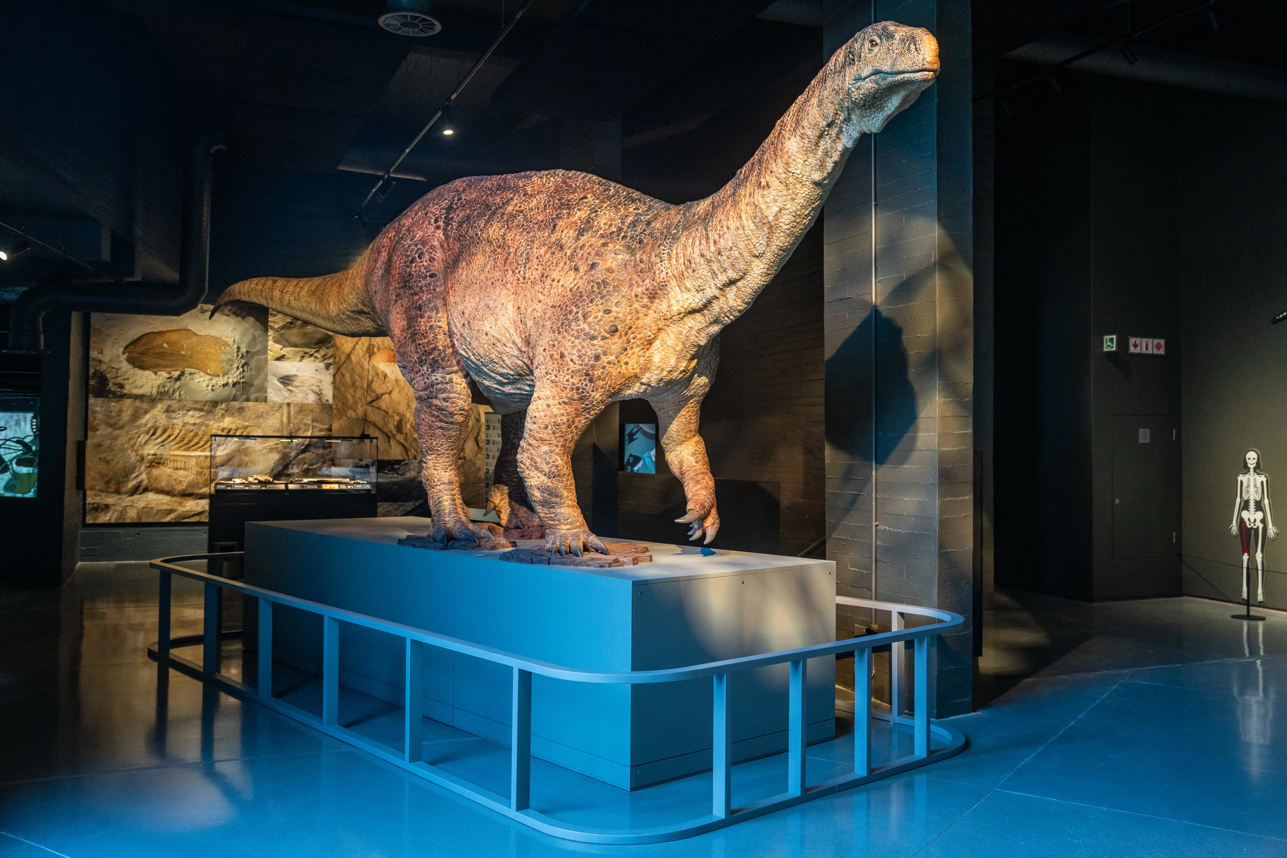 The Ledumahadi mafube dinosaur model at the Kgodumodumo Dinosaur Interpretation Centre, located in SANParks’ Golden Gate Highlands National Park in the Free State, on 22 June 2025. Picture: Jacques Nelles/EWN The Ledumahadi mafube dinosaur model at the Kgodumodumo Dinosaur Interpretation Centre, located in SANParks’ Golden Gate Highlands National Park in the Free State, on 22 June 2025. Picture: Jacques Nelles/EWN