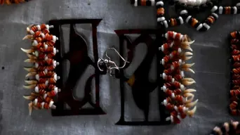 Shadowy exotic pet trade thrives in Pacific island nation Shadowy exotic pet trade thrives in Pacific island nation