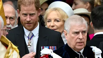 Andrew to lose his last military rank: defence minister Andrew to lose his last military rank: defence minister