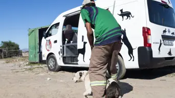 Animal rescue workers 'deeply traumatised' after attack during community outreach Animal rescue workers 'deeply traumatised' after attack during community outreach