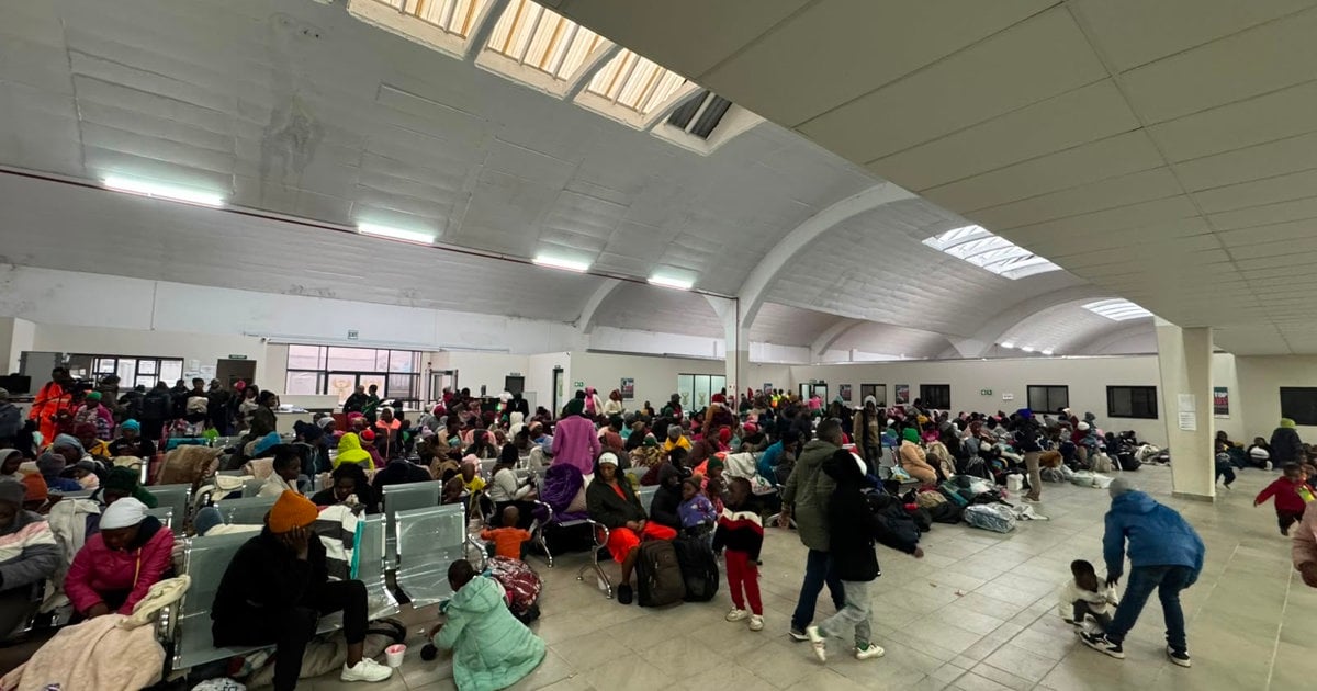 Gift of the Givers concerned over undocumented Zimbabweans spending ...