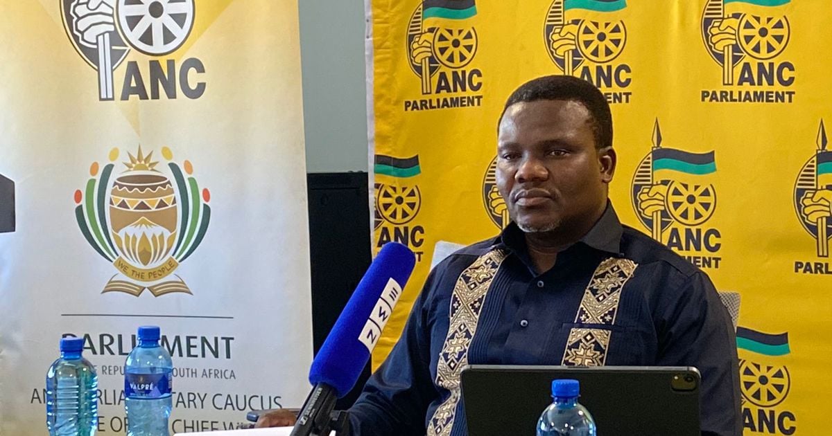 Ntuli defends ANC position that Masemola failed constitutional duty over Mchunu directive - EWN