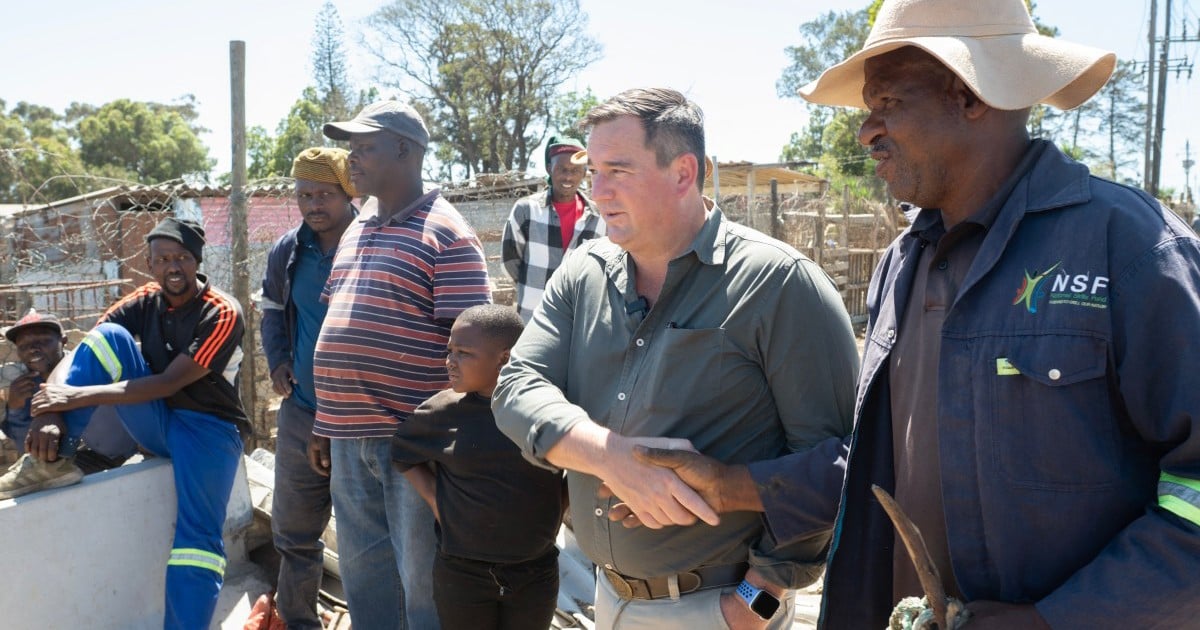 Farmers give John Steenhuisen a ‘two out of 10’ over foot-and-mouth ...