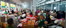 Stokvel mania: How coordinated savings transform retail Into a year-end economic harvest Stokvel mania: How coordinated savings transform retail Into a year-end economic harvest