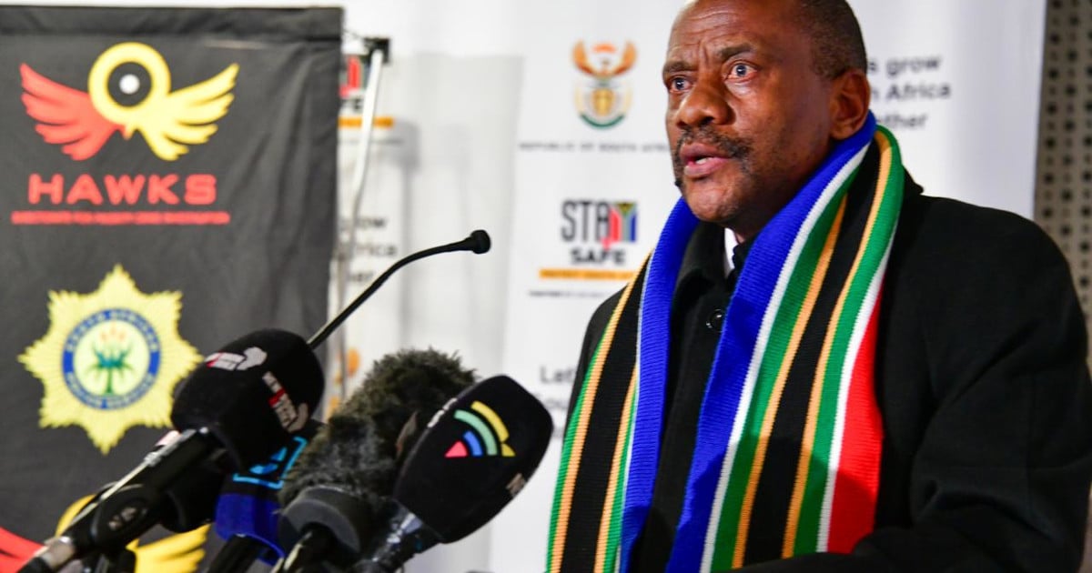 Hawks Investigate High Treason Cases Linked to Ramaphosa: ANC Accuses US Influence