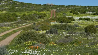 South Africans urged to take advantage of National Parks Week South Africans urged to take advantage of National Parks Week