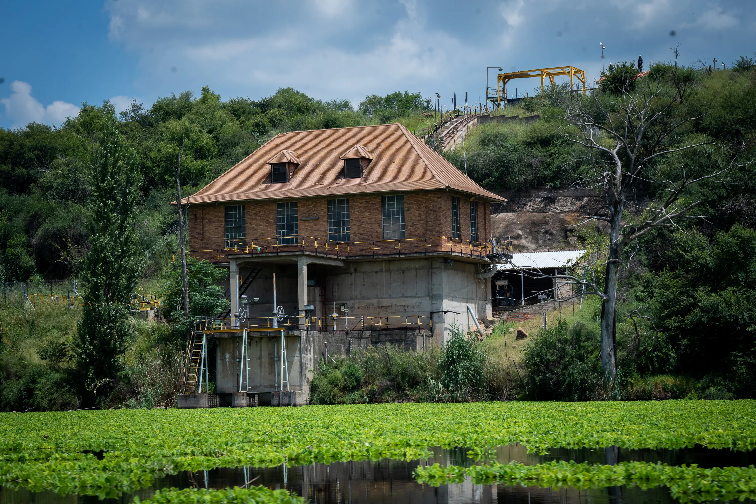A number of businesses and homes along parts of the Vaal River were affected by water lettuce. Picture: Xanderleigh Dookey Makhaza/Eyewitness News A number of businesses and homes along parts of the Vaal River were affected by water lettuce. Picture: Xanderleigh Dookey Makhaza/Eyewitness News