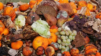 Concerns grow that fear of legal liability hinders efforts to reduce food waste in SA Concerns grow that fear of legal liability hinders efforts to reduce food waste in SA