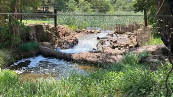 Sewage crisis in Mogale City chokes local businesses Sewage crisis in Mogale City chokes local businesses