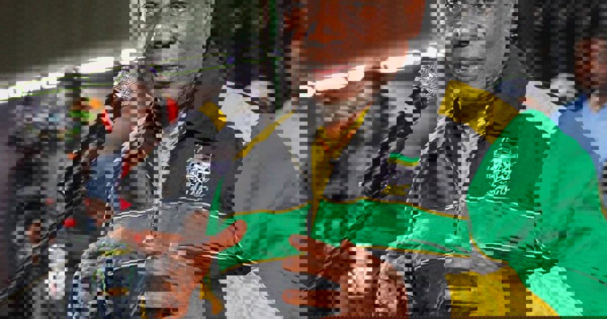 Ramaphosa Says 100 Days Of The Gnu Is About Reflection Not Celebration