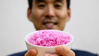 'Meaty rice'? South Korean professor aims to change global protein 'Meaty rice'? South Korean professor aims to change global protein