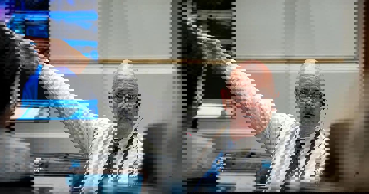 Paul O’Sullivan denies infiltrating IPID in Parliament testimony