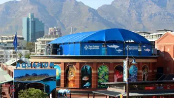 Two Oceans Aquarium offers 3-year course for high school pupils interested in marine studies Two Oceans Aquarium offers 3-year course for high school pupils interested in marine studies