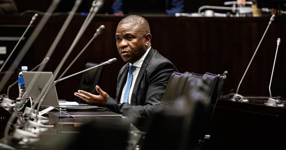 Mkhwanazi suggests vetting of criminal justice officials in face of gangsterism