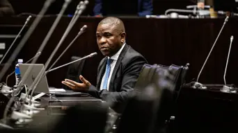 Parly police inquiry: Mkhwanazi cites prejudice in MPs' handling of evidence Parly police inquiry: Mkhwanazi cites prejudice in MPs' handling of evidence