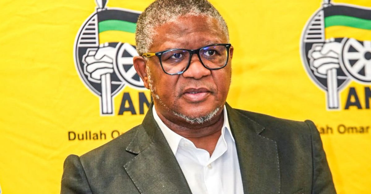 ANC’s Fikile Mbalula, Nkosazana Dlamini-Zuma face off in court over alleged defamation - EWN