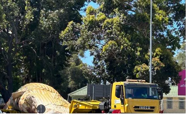 Picture: City of Cape Town Picture: City of Cape Town