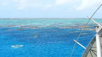 80-year-old dies after cruise ship leaves her behind on island 80-year-old dies after cruise ship leaves her behind on island