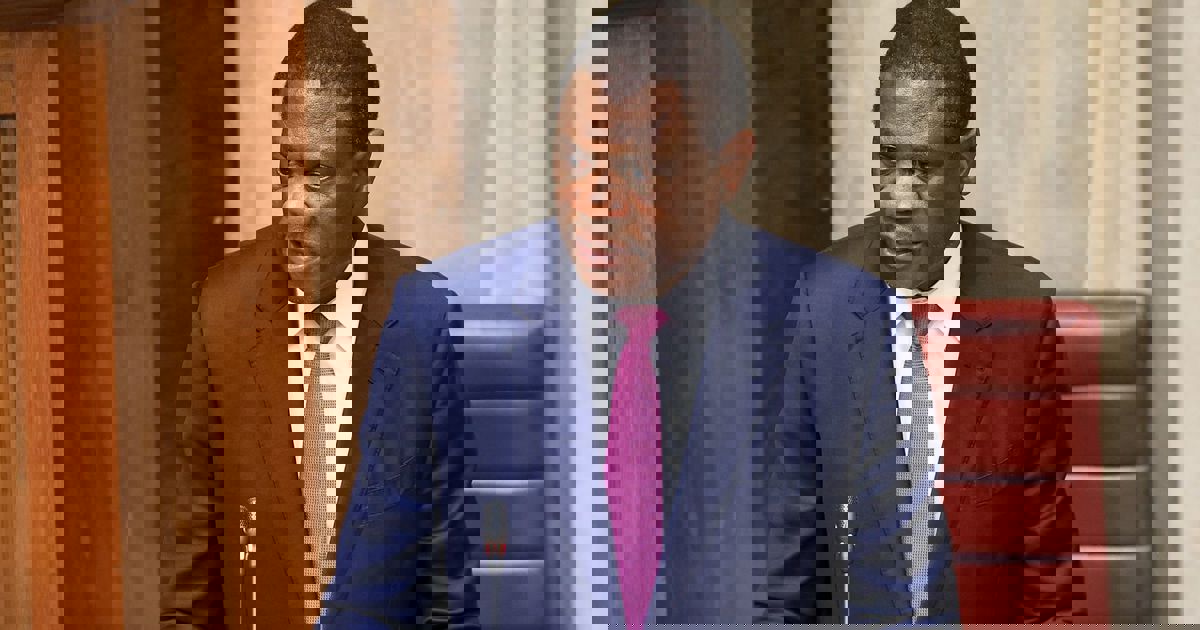 Mashatile says the Water Crisis Committee is intended to work together