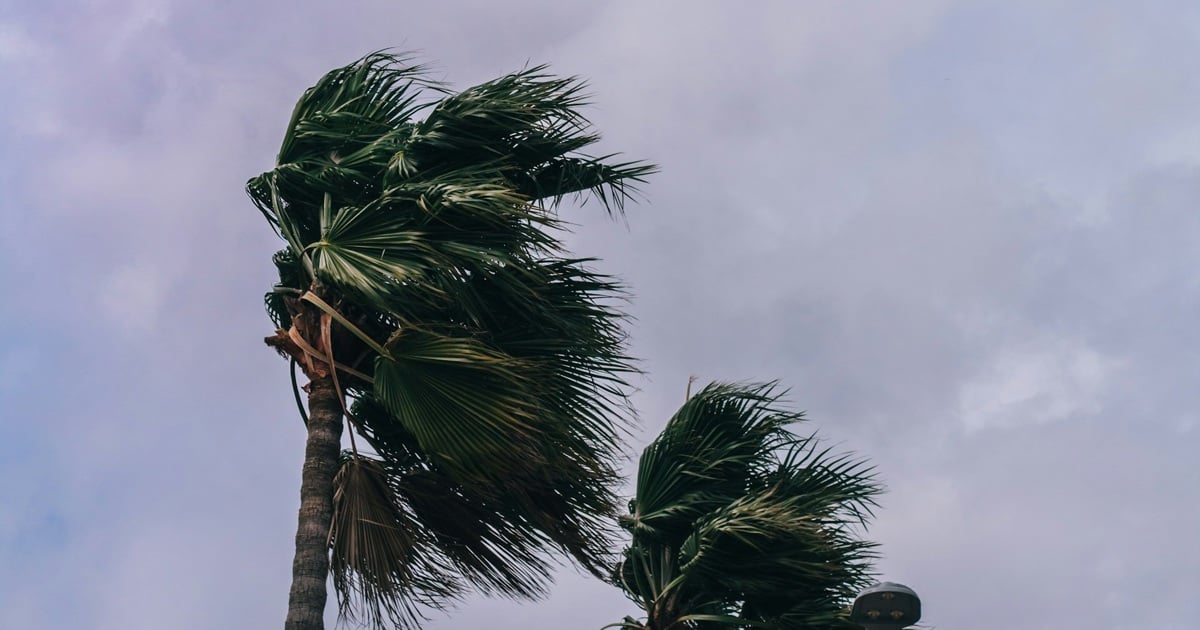 Weather Service issues warning for damaging winds and waves along parts of the Western Cape coastline