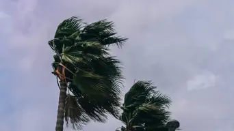 Weather Service issues warning for damaging winds and waves along parts of the Western Cape coastline Weather Service issues warning for damaging winds and waves along parts of the Western Cape coastline