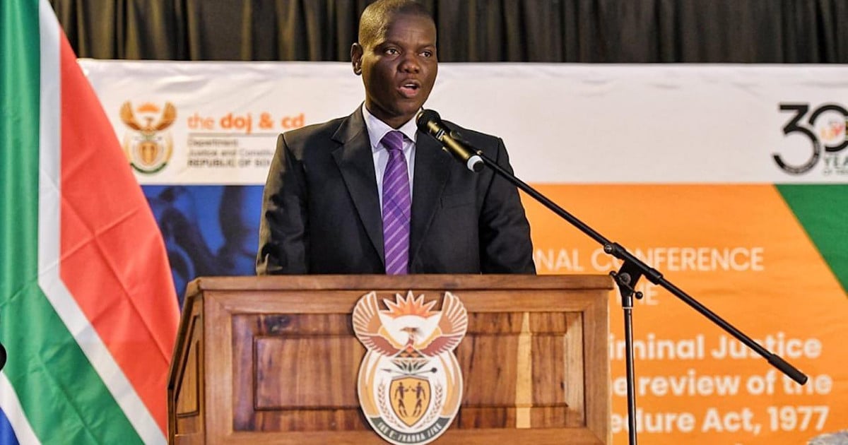 'SA cannot be scapegoated': DIRCO calls for continent-wide immigration summit