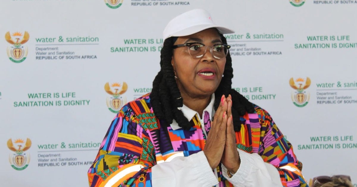 Pemmy Majodina faces second parliamentary ethics complaint over viral slur