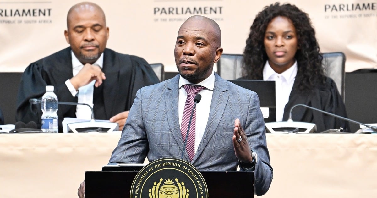 Committee plans to scrutinise funding set aside to respond to GBV - EWN