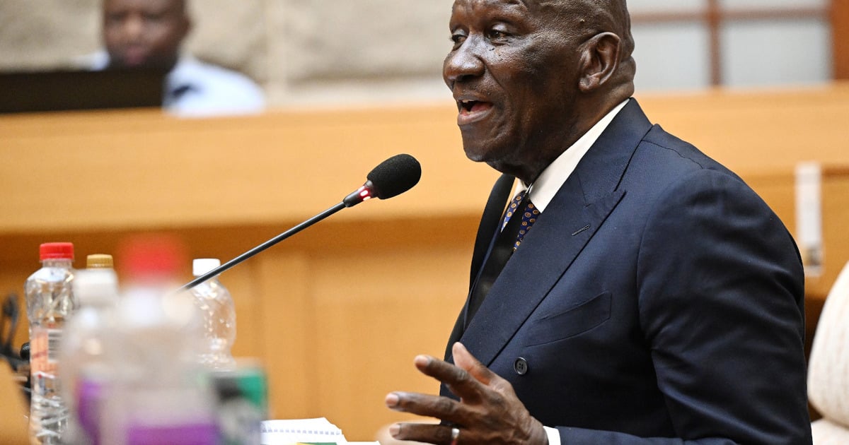 Cele calls for entire investigation into entire criminal justice system