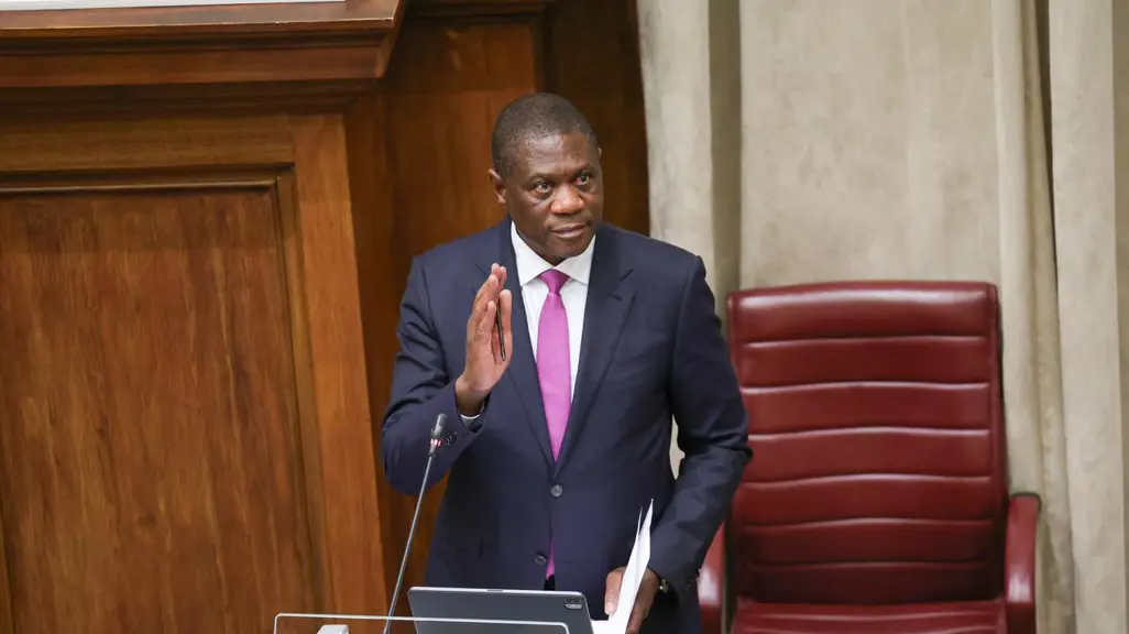 Mashatileth Mashatile: Fight against gang violence must be intelligence-driven