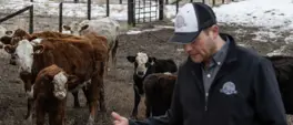 US cattle farmers caught between high costs and weary consumers US cattle farmers caught between high costs and weary consumers
