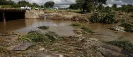'I wanted to die': Survivors recount Mozambique flood terror 'I wanted to die': Survivors recount Mozambique flood terror
