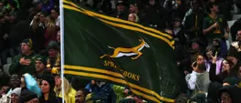 Springboks bid to end season on high against depleted Wales Springboks bid to end season on high against depleted Wales