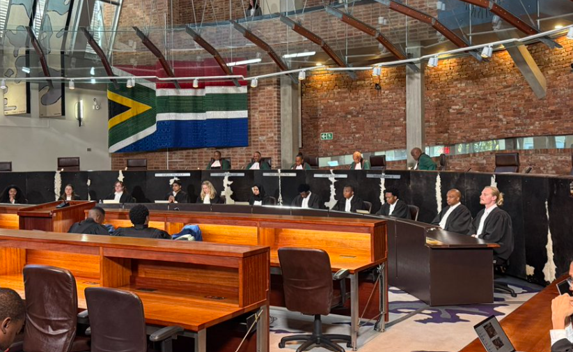 DA warns of ‘absolute chaos’ if ConCourt rules in favour of late ANC candidate lists