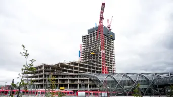 Chinese woman charged over gold theft at Paris Natural History Museum Chinese woman charged over gold theft at Paris Natural History Museum