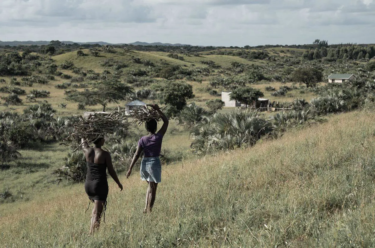 The Mbonambi sisters walk back home with the wood collected for the day in Umhlabuyalingana, South Africa's least electrified municipality. Picture: Xanderleigh Dookey Makhaza/Eyewitness News The Mbonambi sisters walk back home with the wood collected for the day in Umhlabuyalingana, South Africa's least electrified municipality. Picture: Xanderleigh Dookey Makhaza/Eyewitness News