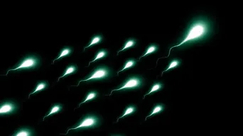 UWC research project calls for sperm donations in bid to better understand male fertility UWC research project calls for sperm donations in bid to better understand male fertility
