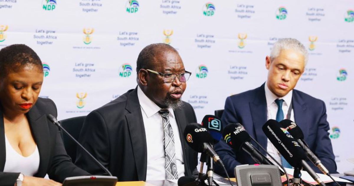 Godongwana says government will appeal SRD court ruling