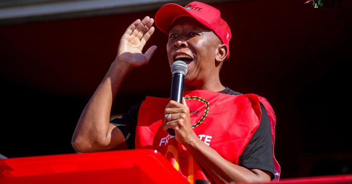 Municipal elections: EFF takes campaign to Cape Town - EWN