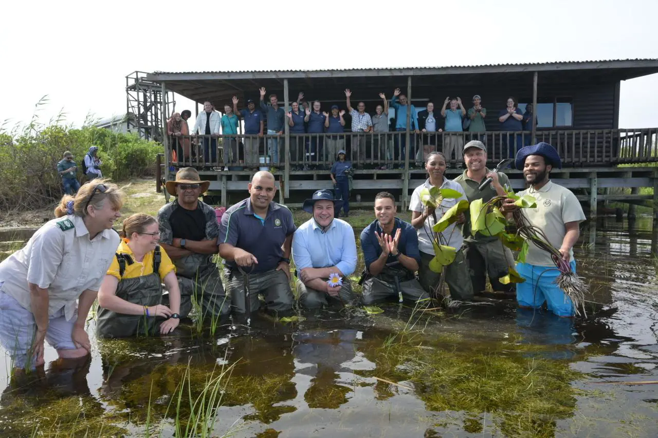 The team involved in reintroducing the Cape Water Lily to the Cape Flats region. Picture: Supplied The team involved in reintroducing the Cape Water Lily to the Cape Flats region. Picture: Supplied