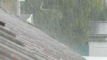 Homeowner wins storm damage insurance battle, but still no payout after tribunal ruling Homeowner wins storm damage insurance battle, but still no payout after tribunal ruling