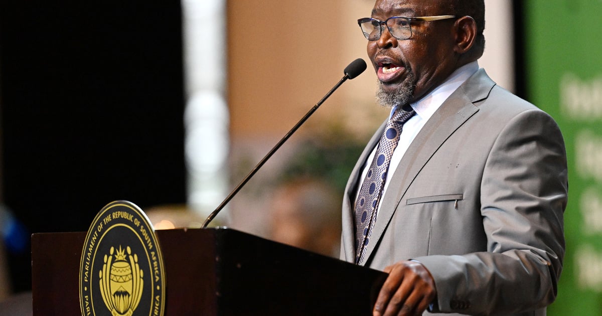 Godongwana's Budget Under Scrutiny: Parliament's Finance Committees Prepare Tough Questions